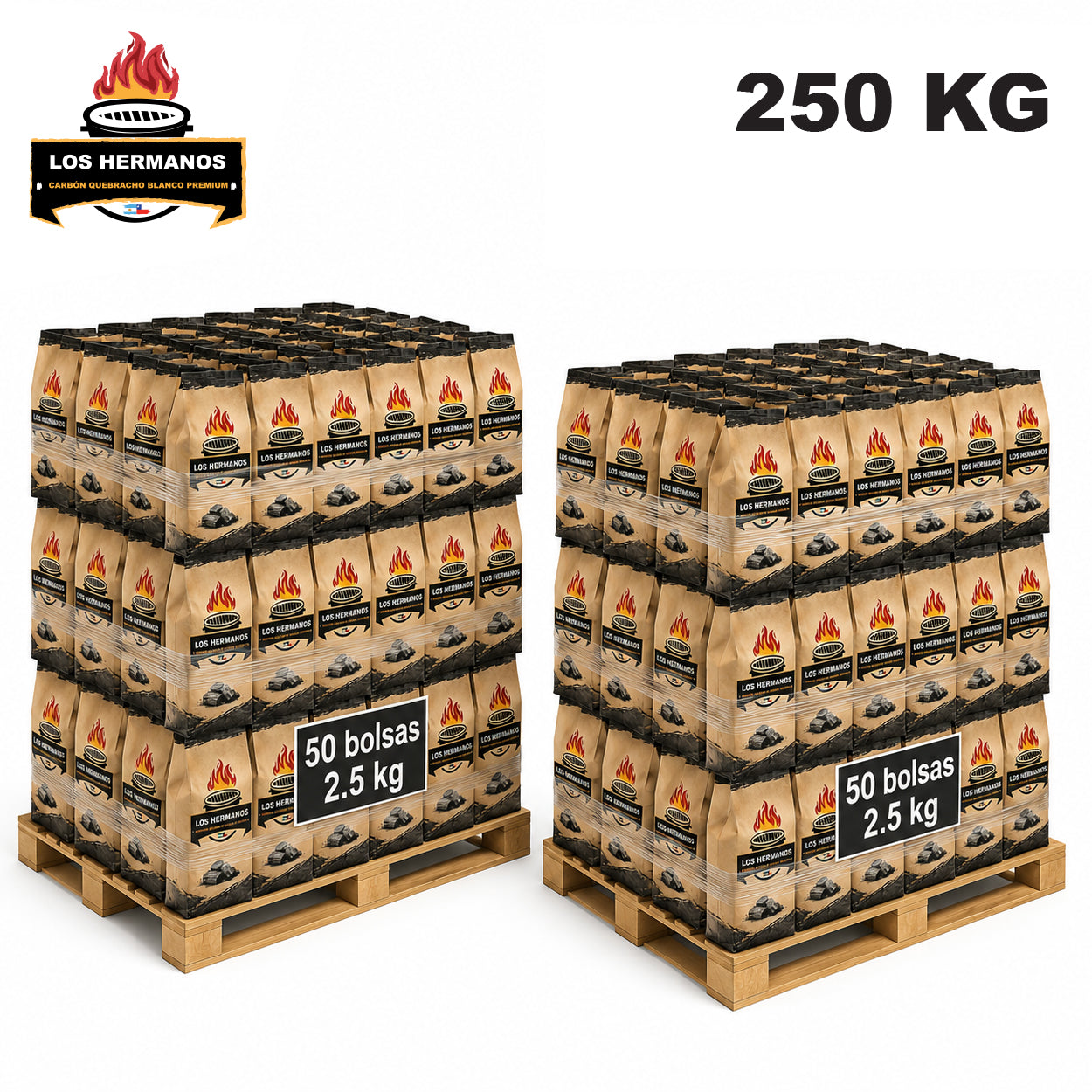 PACK 100 BOLSAS DE CARBÓN 2.5 KG